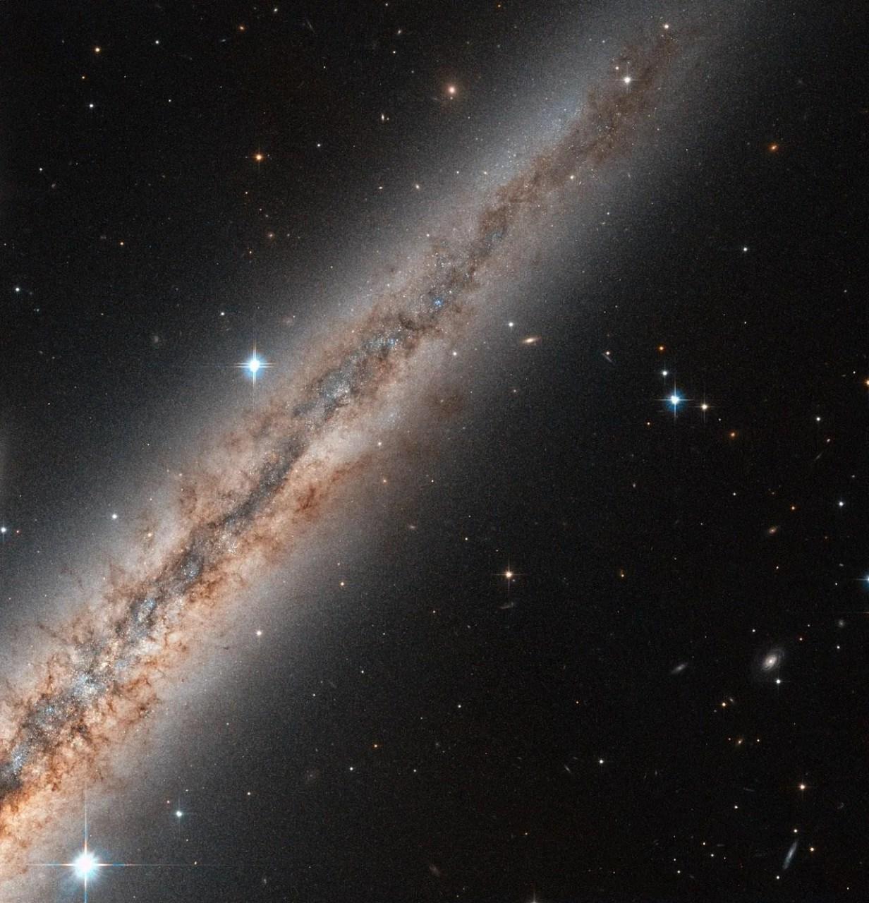 c23-1