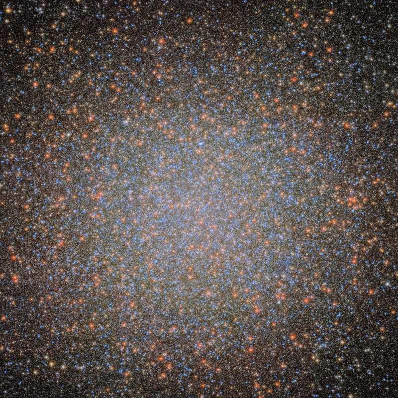 A Hubble image of the globular cluster Omega Centauri, a collection of myriad stars colored red, white, and blue on the black background of space.