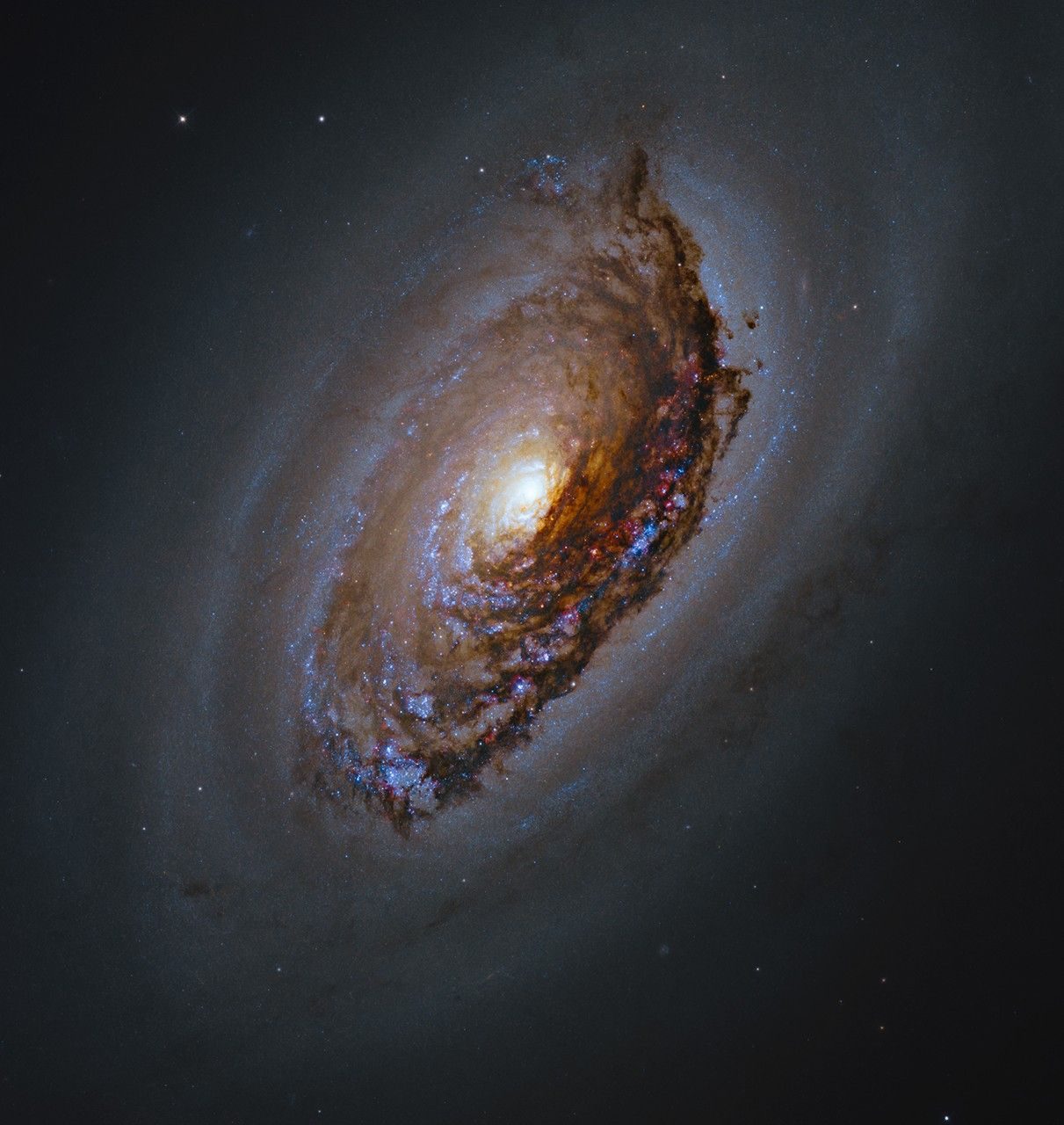 A dusty-dark spiral galaxy with a bright-white core. Its spiral arms are dotted with bright-blue clusters of stars and reddish clouds.