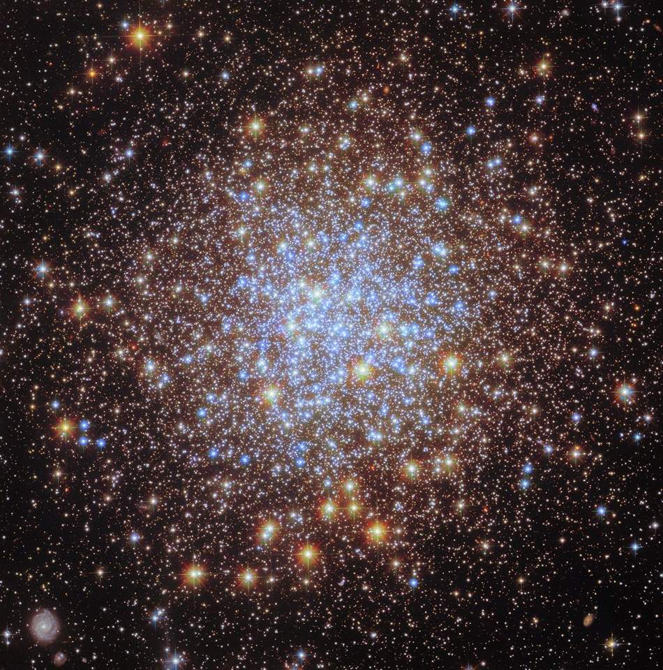 Thousands of bright stars fill a spherically shaped globular cluster. In the center, most of the stars appear blue. The globular cluster’s bright blue-white core is surrounded by a thick shell of yellower stars, seen in differing sizes according to their position in the spherical star cluster. They spread out beyond the edges of the image, appearing smaller and sparser at the corners of the image. A distant spiral galaxy is also visible in the lower-left corner of the image.
