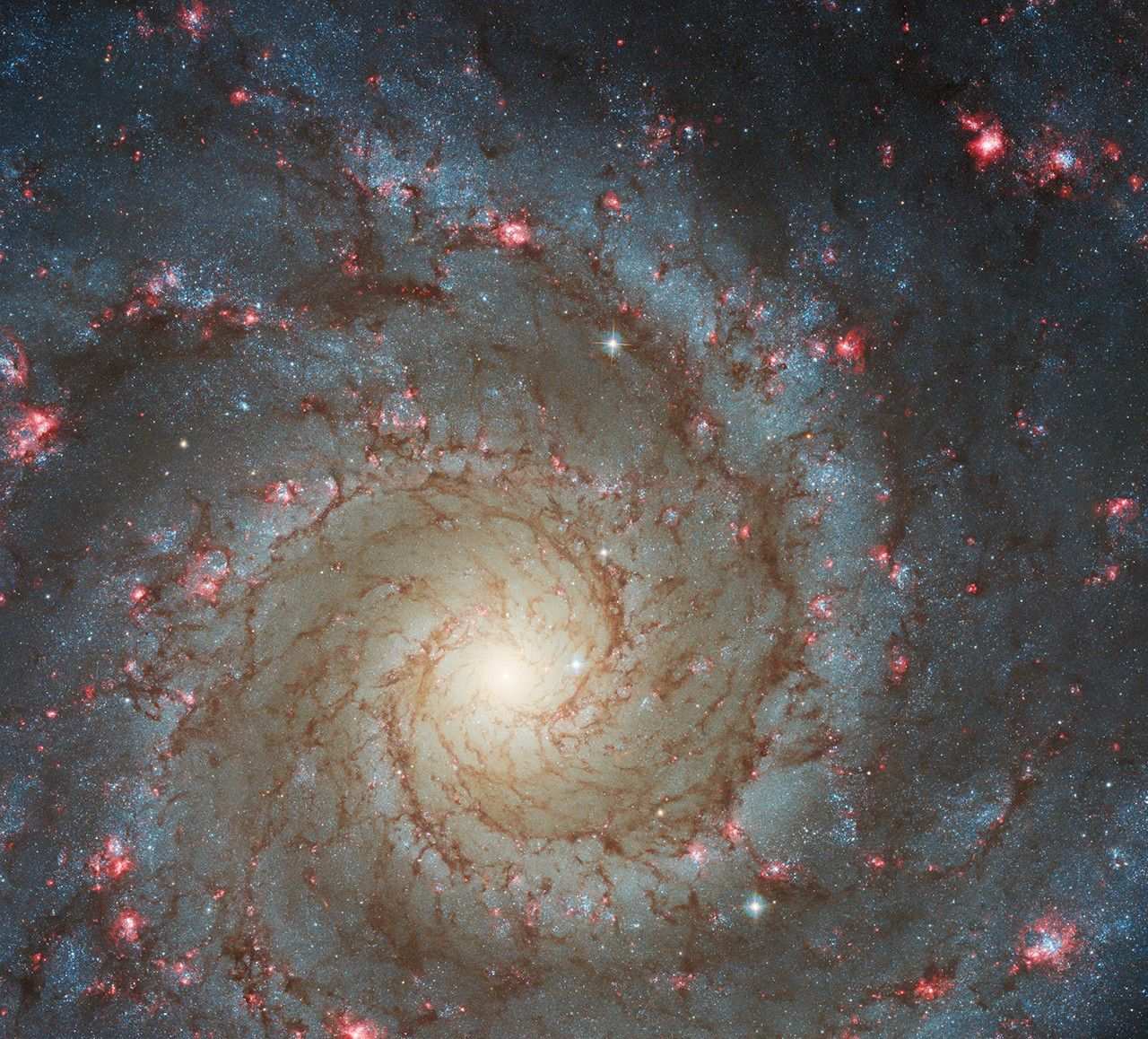 A beautiful, face-on spiral galaxy. Its spiral arms are outlined by rusty-brown dust lanes and bright-blue stars.