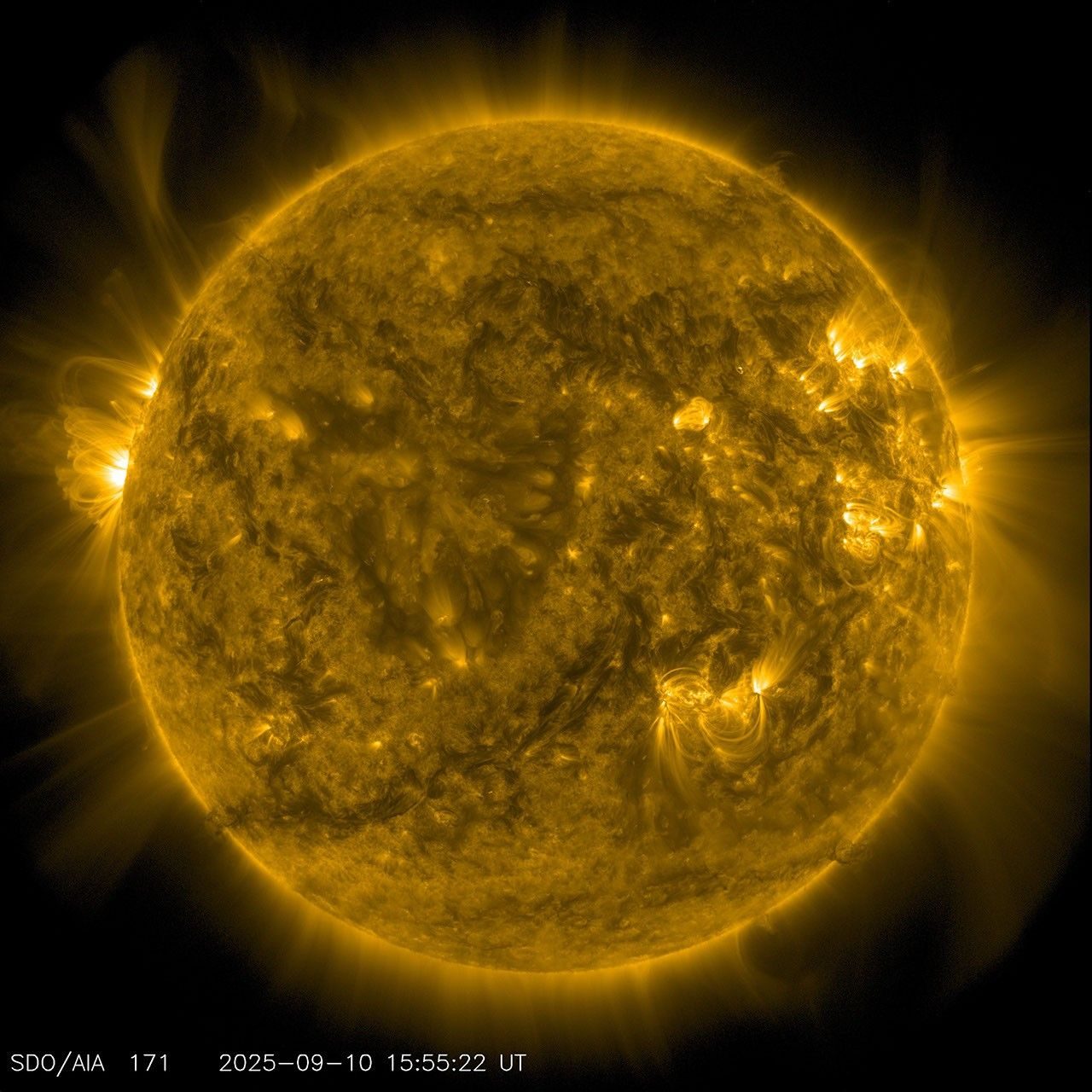 The Sun observed by NASA Solar Dynamics Observatory on September 10, 2025